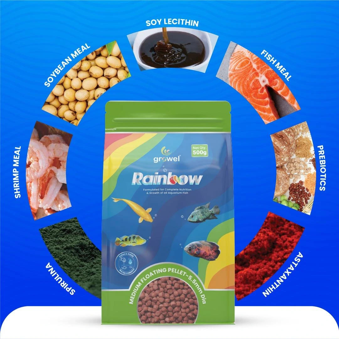 Medium Floating Pellets | 5.5mm | Growel Rainbow